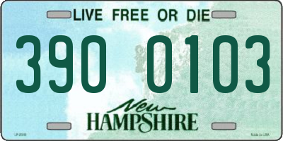 NH license plate 3900103
