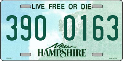 NH license plate 3900163