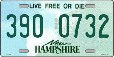 NH license plate 3900732