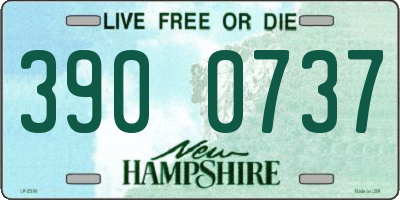 NH license plate 3900737