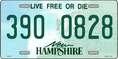 NH license plate 3900828
