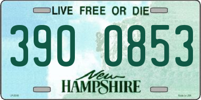 NH license plate 3900853