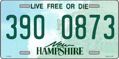 NH license plate 3900873