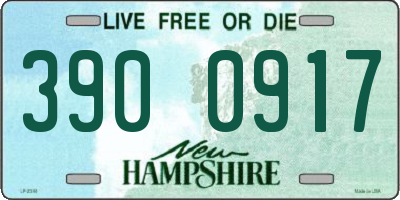 NH license plate 3900917