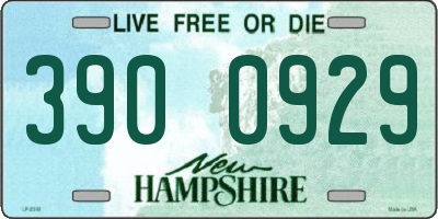 NH license plate 3900929