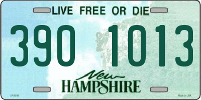 NH license plate 3901013