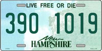 NH license plate 3901019