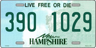 NH license plate 3901029