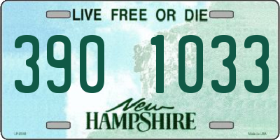 NH license plate 3901033
