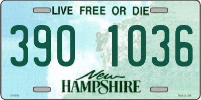 NH license plate 3901036