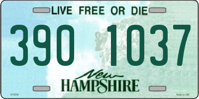 NH license plate 3901037