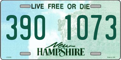NH license plate 3901073