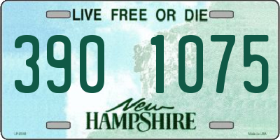 NH license plate 3901075