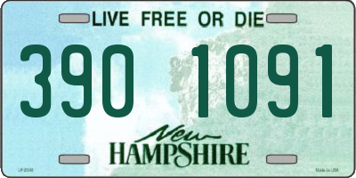 NH license plate 3901091