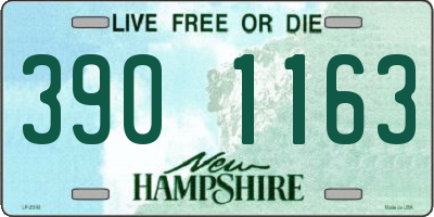 NH license plate 3901163