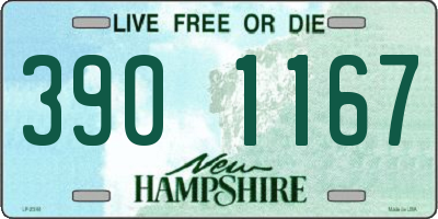 NH license plate 3901167