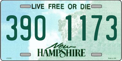 NH license plate 3901173