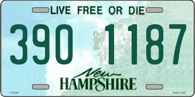 NH license plate 3901187