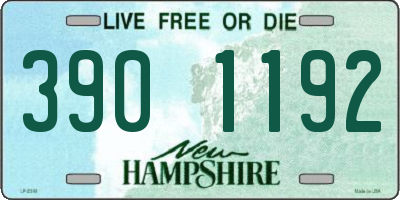 NH license plate 3901192