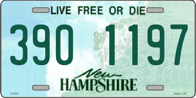 NH license plate 3901197