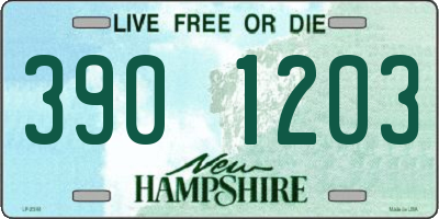 NH license plate 3901203