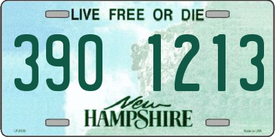NH license plate 3901213