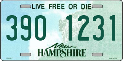 NH license plate 3901231