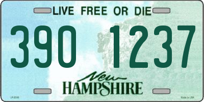 NH license plate 3901237