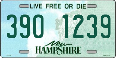 NH license plate 3901239