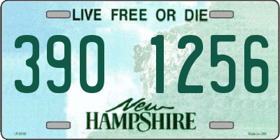 NH license plate 3901256