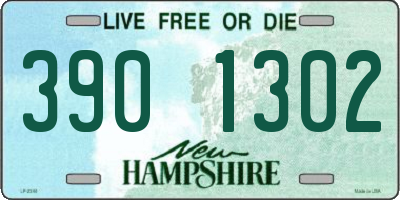 NH license plate 3901302