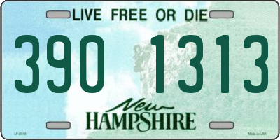 NH license plate 3901313