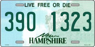 NH license plate 3901323