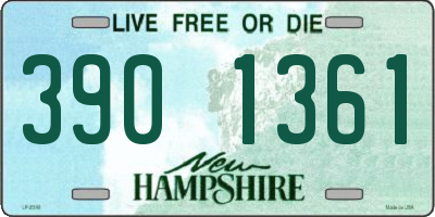 NH license plate 3901361