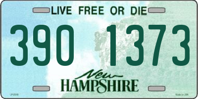NH license plate 3901373