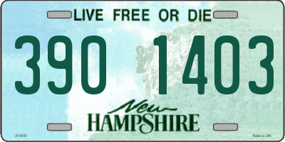 NH license plate 3901403