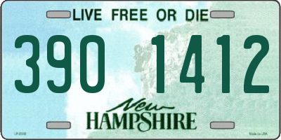 NH license plate 3901412