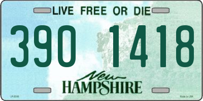 NH license plate 3901418
