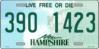 NH license plate 3901423