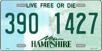 NH license plate 3901427