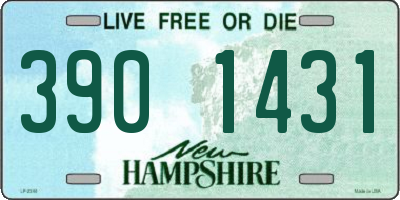 NH license plate 3901431