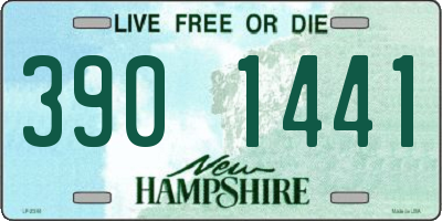 NH license plate 3901441