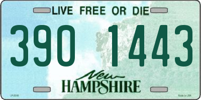 NH license plate 3901443