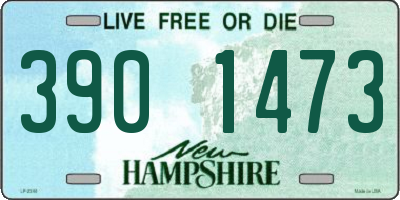 NH license plate 3901473
