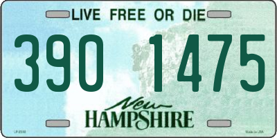 NH license plate 3901475