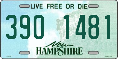 NH license plate 3901481