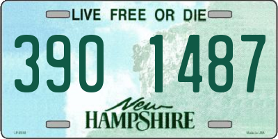NH license plate 3901487