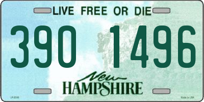 NH license plate 3901496