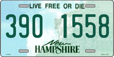 NH license plate 3901558