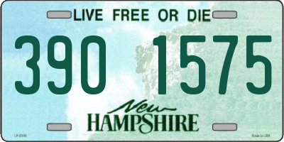 NH license plate 3901575
